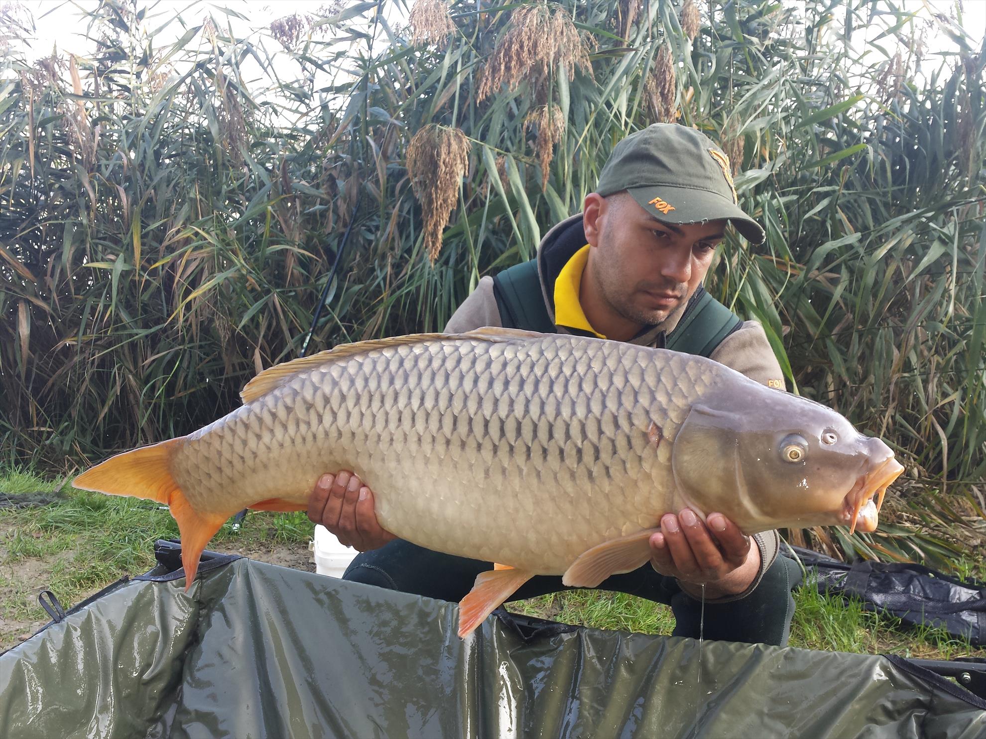 Harsany 2014 - 20141014090308.jpg